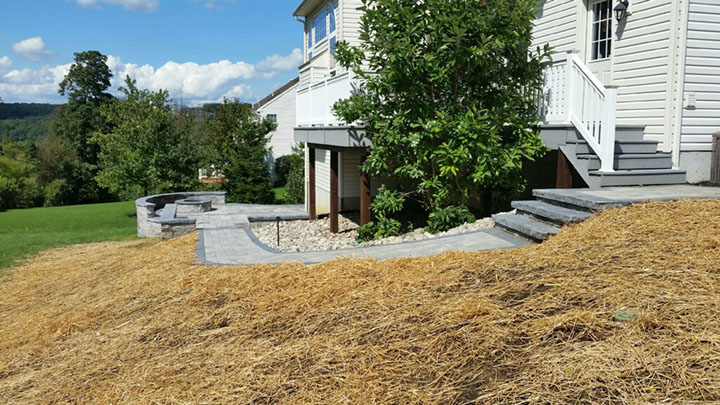 new stone path and steps