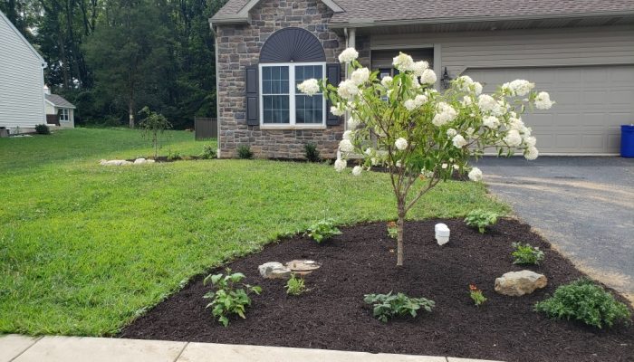AST – flowerbed at end of driveway