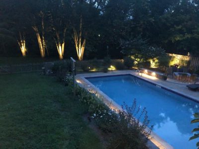 beautiful yard and pool lighting